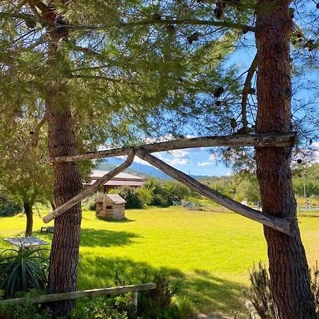 Agriturismo Su Niu Uta المظهر الخارجي الصورة
