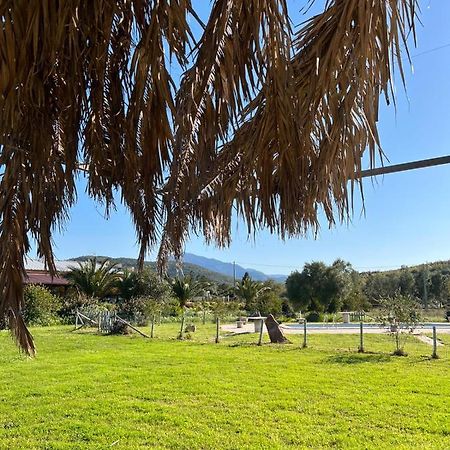 Agriturismo Su Niu Uta المظهر الخارجي الصورة