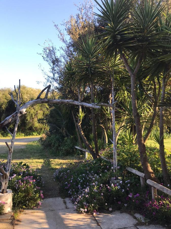 Agriturismo Su Niu Uta المظهر الخارجي الصورة